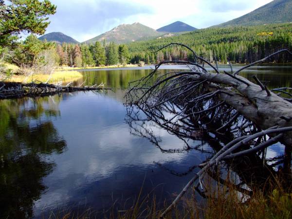Sprague lake RMNP.