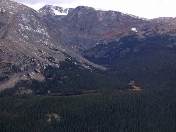 Forest canyon section of Trail ridge road.