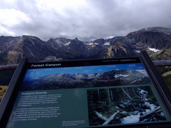 Trail ridge road.