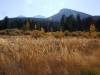 DSCF0065.JPG
