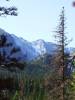 DSCF0103.JPG