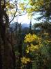 DSCF0105.JPG