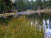DSCF0193.JPG