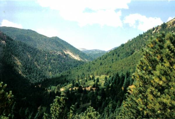 View from upper trail at Helen Hunt Falls