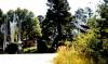 Starr_Kempf_Sculpture_Garden.jpg