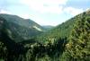 View_from_upper_trail_at_Helen_Hunt_Falls.jpg