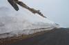 Day_12_-_Mount_Evans_046.JPG
