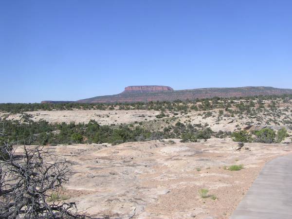 Trail to Sipapu Bridge Overlook