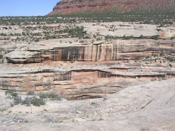P6181406