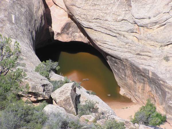 Water pool near Kachina Bridge