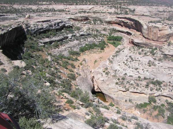 P6181416