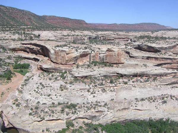 P6181418