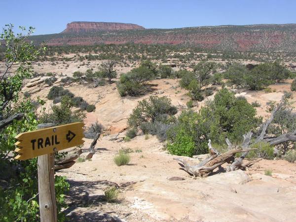 P6181425