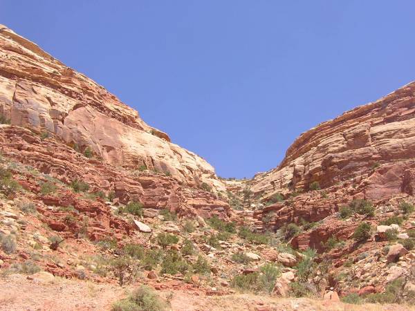 Looking up at Cedar Mesa