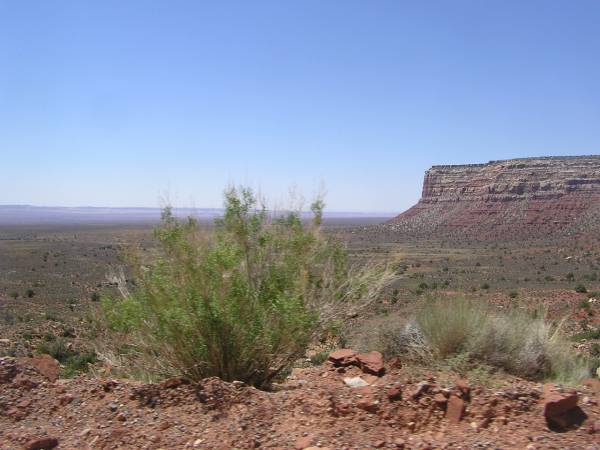The edge of Cedar Mesa