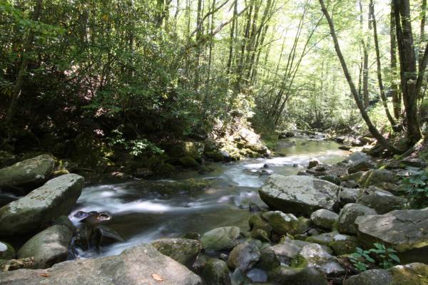 Oconaluftee River