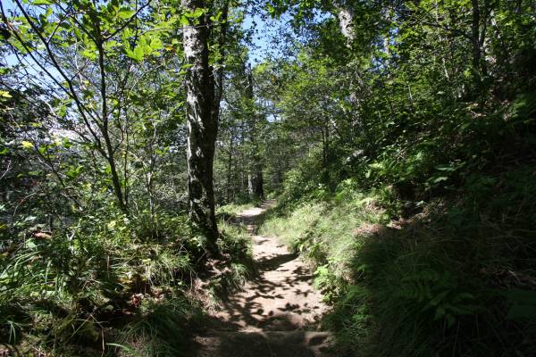 Appalachian Trail