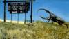 The_Beetle_at_John_May_Nature_Museum.jpg