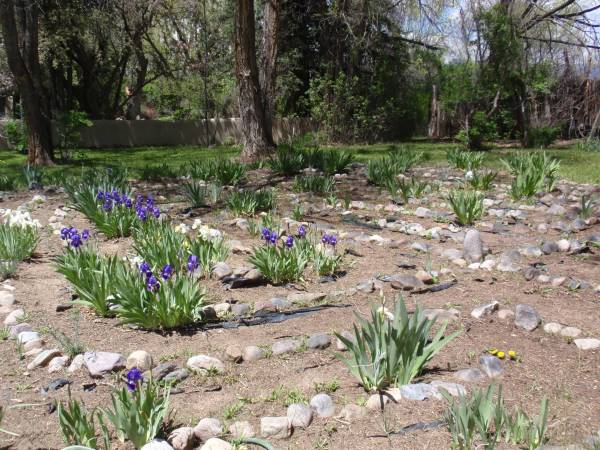 Taos labyrinth