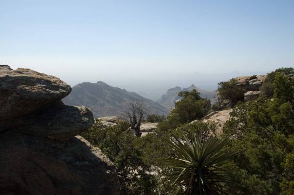 Canyon view