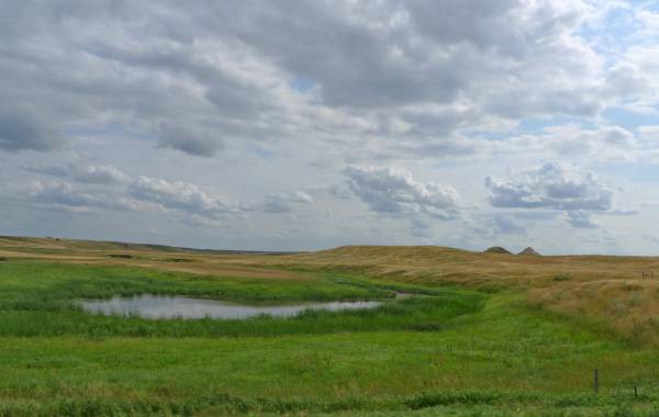 Arrowwood National Wildlife Reserve