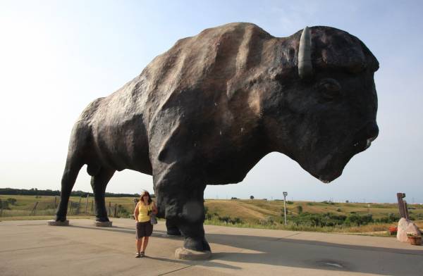 World's Largest Buffalo, Jamestown