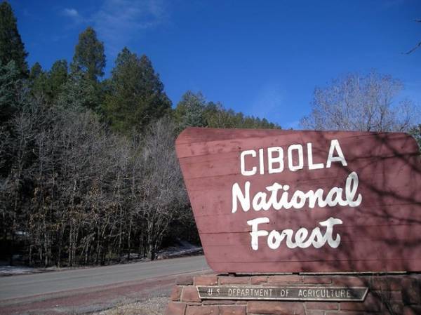 Cibola National Forest Sign in New Mexico