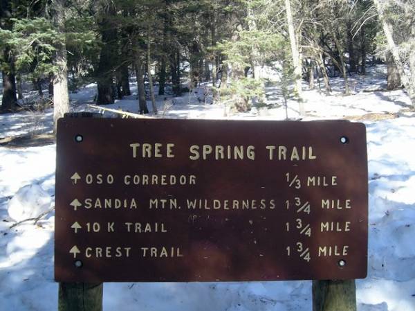 Tree Spring Tail Sign in Sandia Park