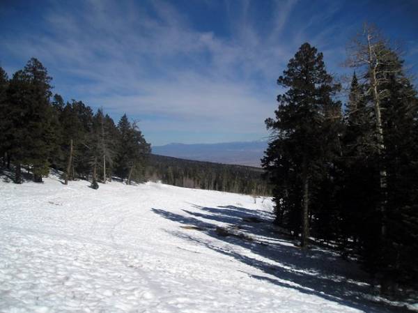 Scenic View Along the Sandia Crest Byway