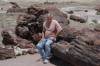 Petrified_Forest_giant_log.jpg
