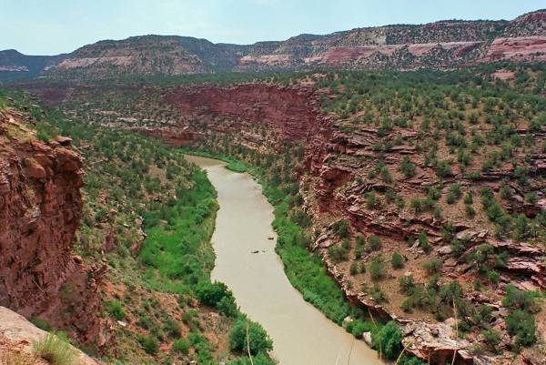 Dolores River Canyon