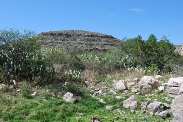 View at Carlsbad Caverns National Park