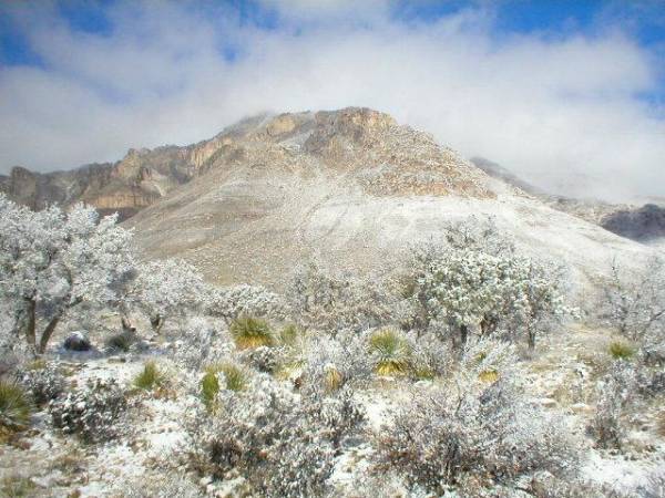 View of Guadalupe Mountains National Park
