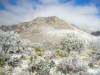 65_GuadalupeMountains.jpg