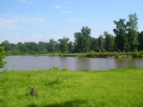 Turkey Bayou at Oakwood Bottoms in Illinois