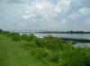 193_CairoBridgeToKentucky.jpg