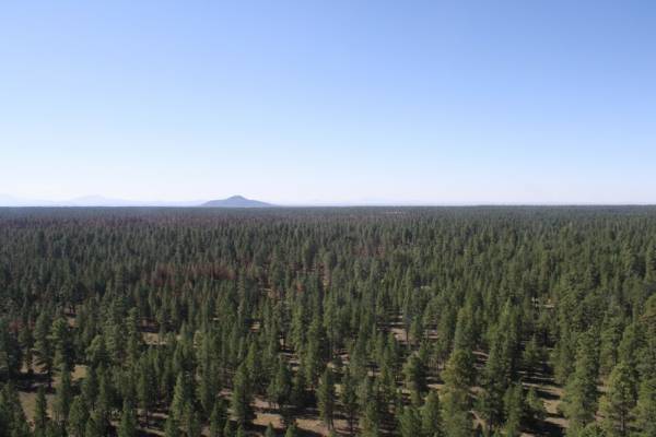 Roadtrip 2008