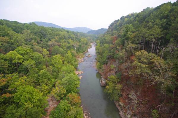 Roanoke River Gorge (from the bridge)