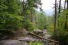 05_Walk_in_the_Woods.JPG