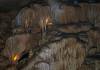 6_Mammoth_Cave_Bacon.jpg
