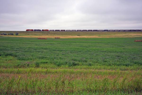 North Dakota Grassland