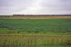 03_ND_Grassland.JPG