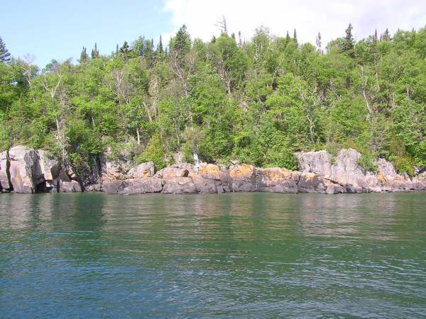 Distant View of 'Spirit Tree'