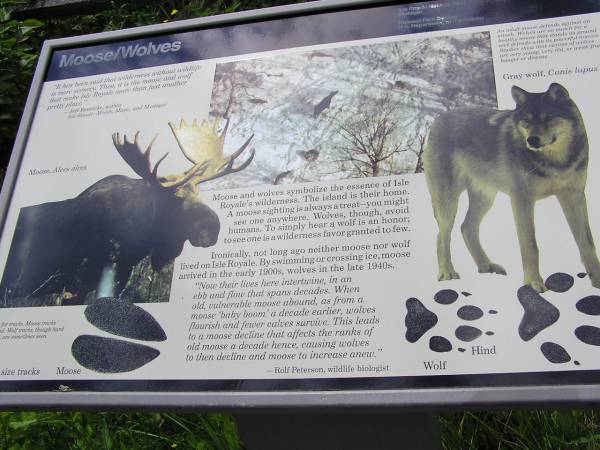 Moose and Wolf Info Sign
