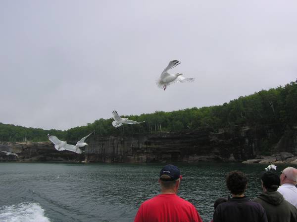 Good Catch!