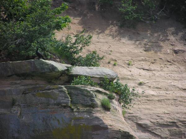 Pictured Rocks View