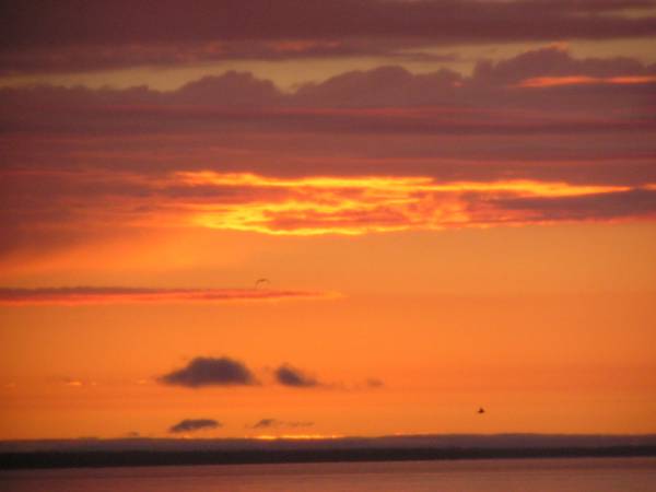 Sunrise View