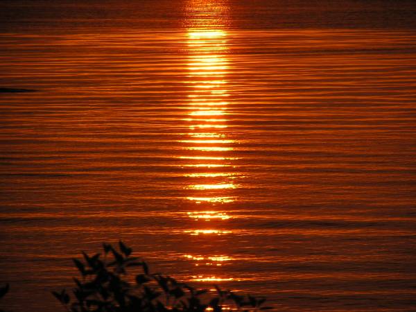 Sunrise View