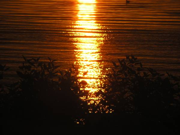 Sunrise View