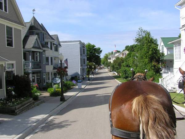 One Horse's Rear